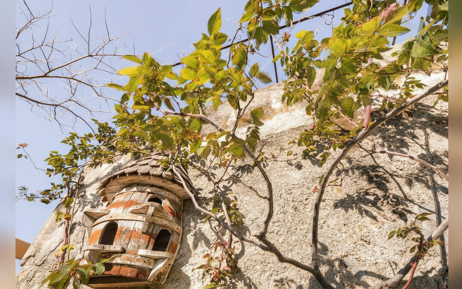 Antica casa del canto, Calice Ligure (Liguria) — galleria foto 53