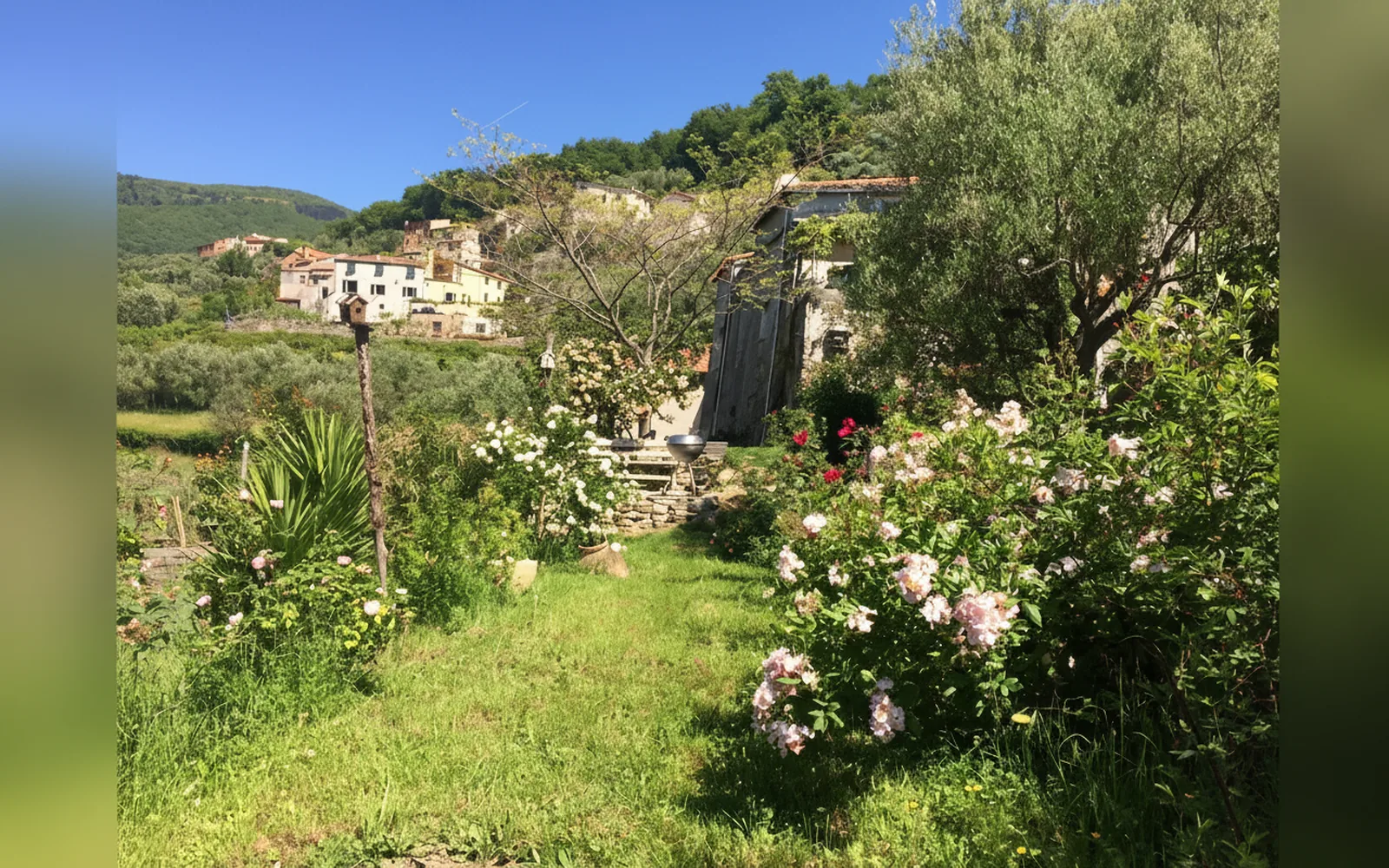 Antica casa del canto, Calice Ligure (Liguria) — galleria foto 77