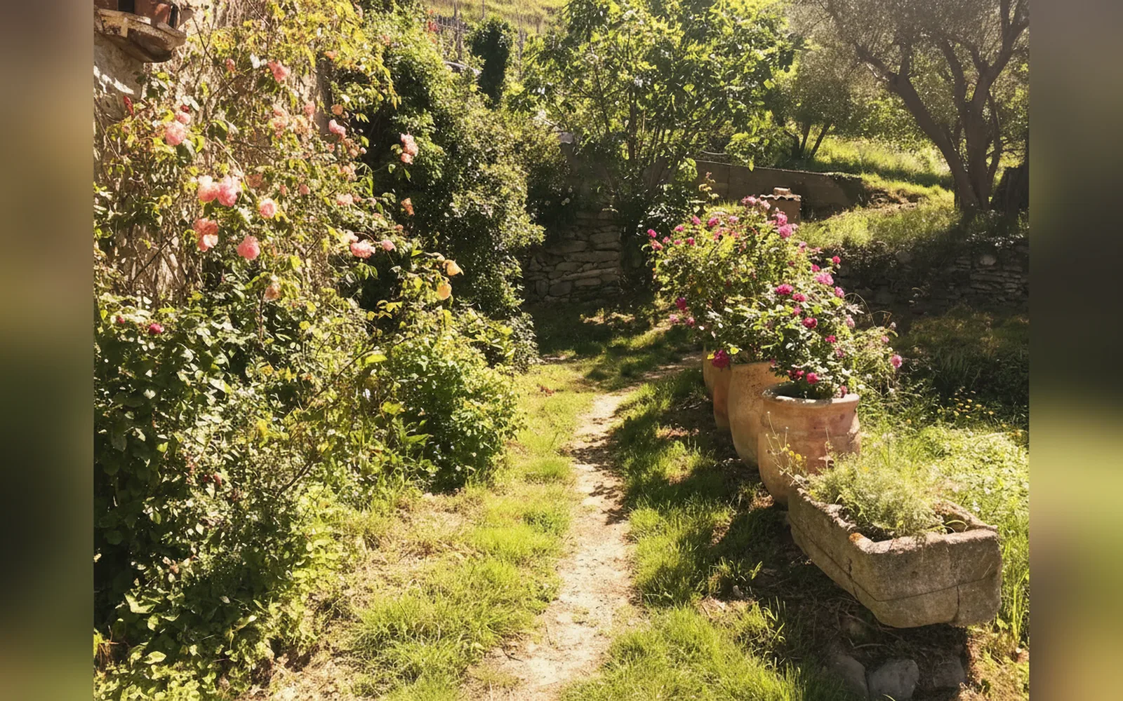 Antica casa del canto, Calice Ligure (Liguria) — galleria foto 84