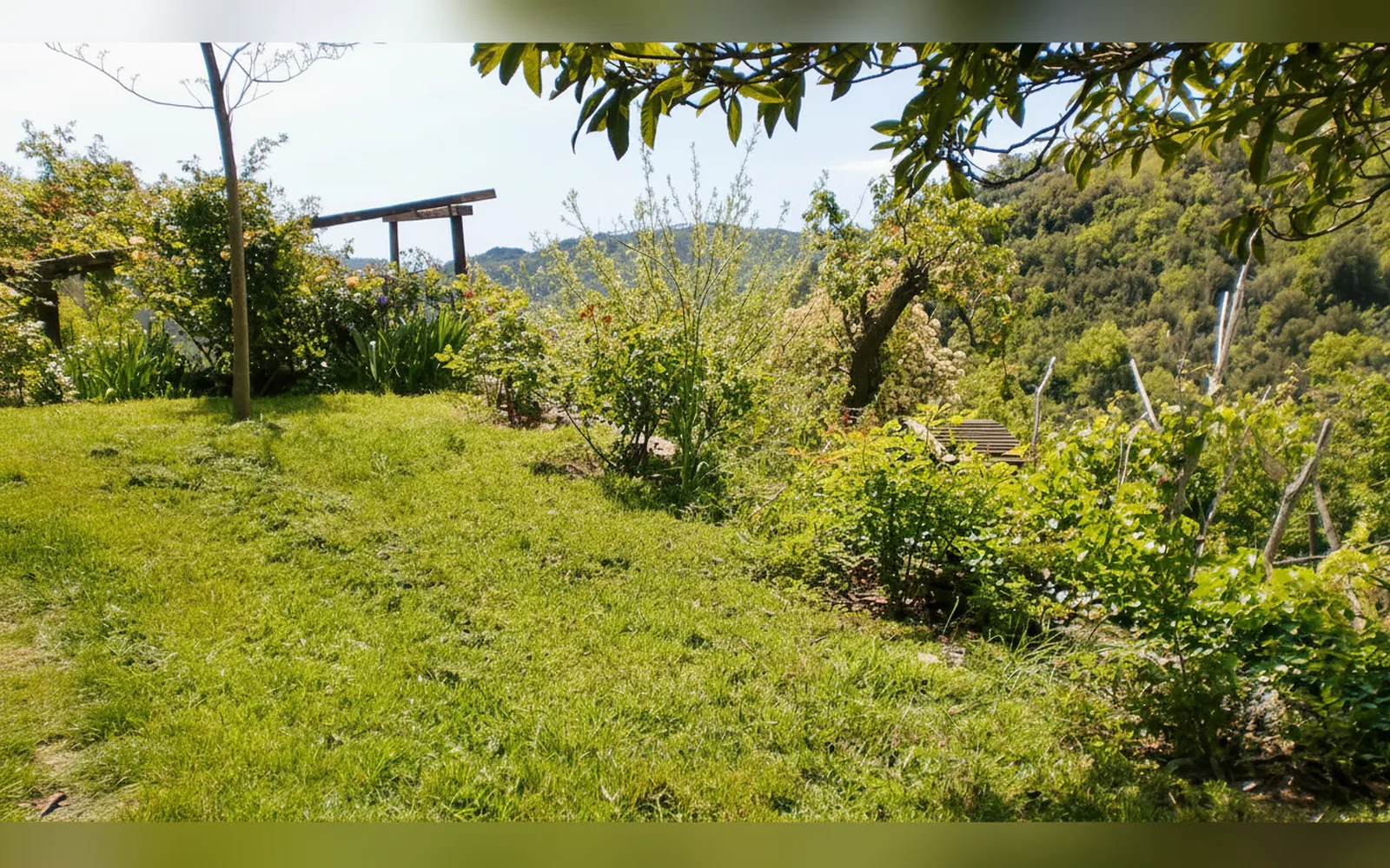 Antica casa del canto, Calice Ligure (Liguria) — galleria foto 89