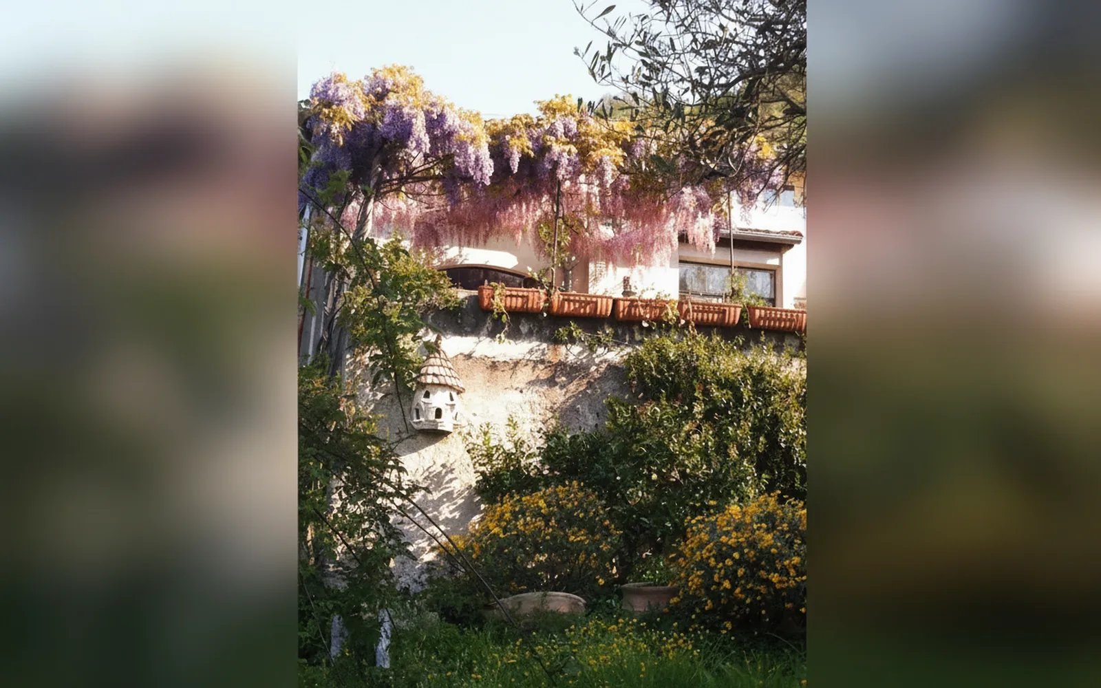 Antica casa del canto, Calice Ligure (Liguria) — galleria foto 92